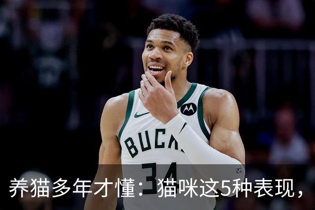 养猫多年才懂：猫咪这5种表现，不是撒娇，是旺家的征兆