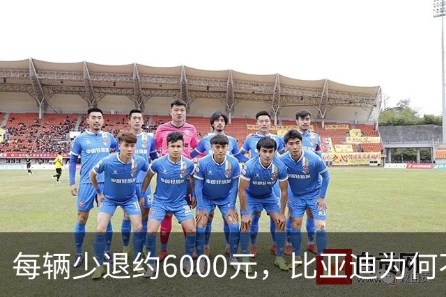 每辆少退约6000元，比亚迪为何不涨价？