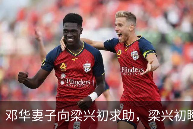 邓华妻子向梁兴初求助，梁兴初瞪着副政委：敢动老红军，你掂量下