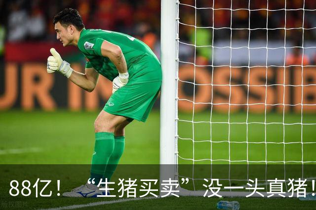 88亿！“生猪买卖”没一头真猪！空手套白狼，国企巨款全被挪走？